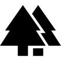 Bäume Icon